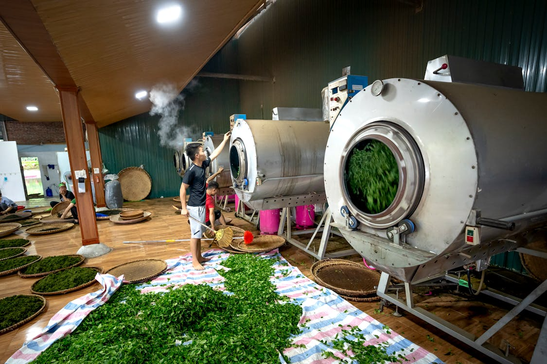 Man in a black shirt working near an industrial machine in a factory setting, surrounded by green leaves.