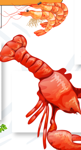 **Compressed Alt Text:** Illustration of a lobster and shrimp for seafood-themed design.