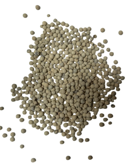 A close-up of whole white peppercorns scattered on a white background.