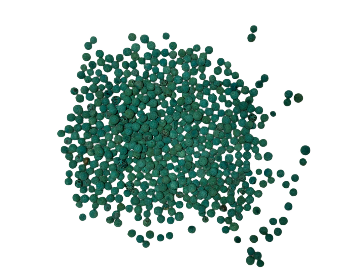 Philoxenia Mint