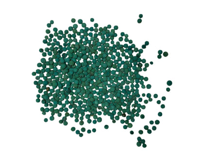 Philoxenia Mint
